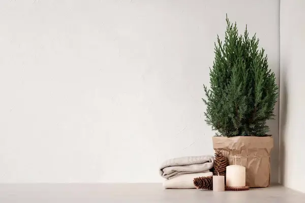 Minimal aesthetic cozy winter home decoration in Scandinavian style. Juniper in pot, wool sweaters, candles on beige table, empty white wall background. Product placement template, podium, tabletop.