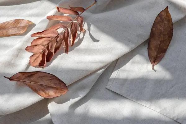 Autumn Brown Leaves Neutral Beige Linen Crumpled Fabric Background Natural — Stock Photo, Image