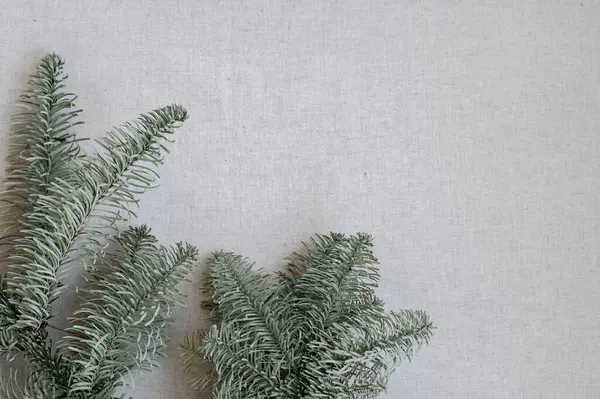 Aesthetic Minimalist Winter Background Spruce Branch Neutral Beige Gray Linen — Stock Photo, Image