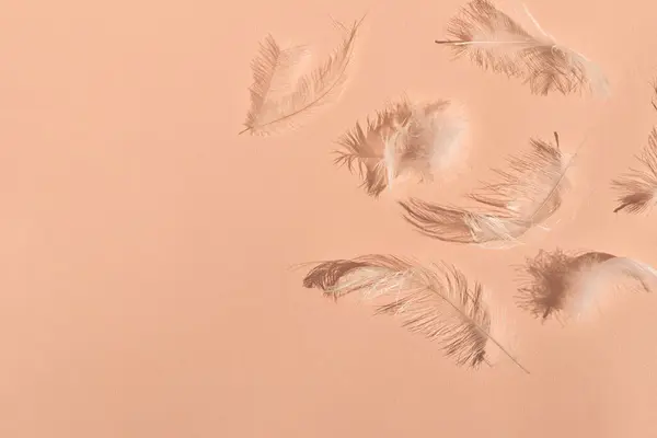Messy white feathers on peach texture background with natural sun light shadows. Peach fuzz , trendy color of 2024 year concept, lifestyle, copy space.
