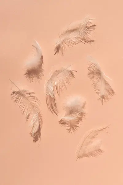 Messy white feathers on peach textured paper background. Flat lay. Trendy color 2024.