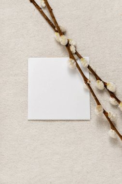 Blank paper sheet and pussy willow branches on neutral beige background, top view, copy space. Aesthetic elegant minimal Easter spring greeting card, wedding invitation or branding template.