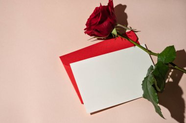 Anneler Günü, Sevgililer Günü, yıldönümü veya doğum günü için bayram kadınsı kartpostal şablonu. Boş kağıt maketi, kırmızı zarf ve şeftali rengi arka planda koyu kırmızı gül çiçeği..