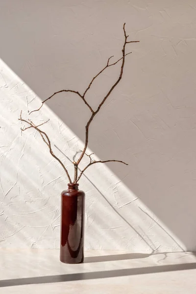 Minimalna Estetyczna Ikebana Martwa Natura Wystrój Wnętrz Domu Gałąź Drzewa — Zdjęcie stockowe