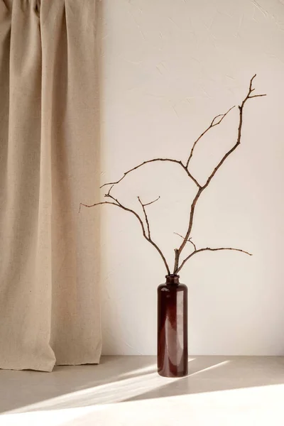 Vase Tree Branch Table Natural Sunlight Shadow Pattern Empty Neutral — Stock Photo, Image