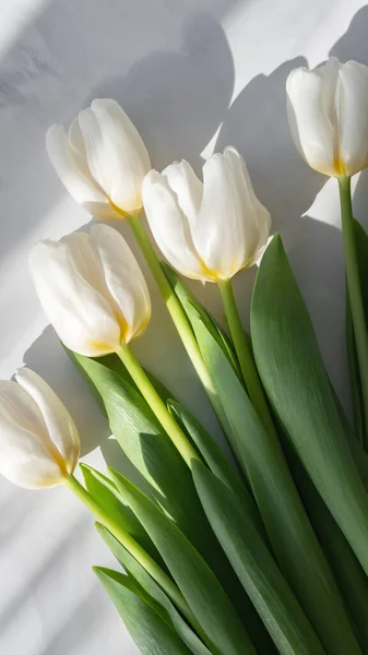 White Tulip Flowers Bouquet Marble Table Background Aesthetic Natural Sunlight — Stock Photo, Image