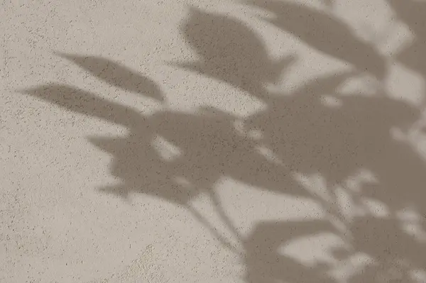 Floral sunlight shadows on a neutral sand beige concrete wall, aesthetic minimalist natural background with copy space.