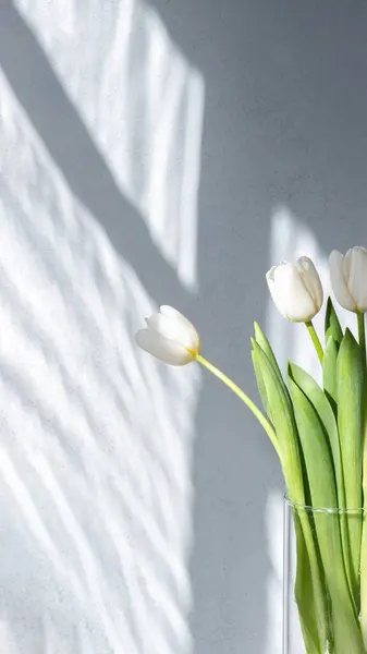 Ramo Flores Tulipán Blanco Sobre Fondo Pared Hormigón Neutro Gris — Foto de Stock