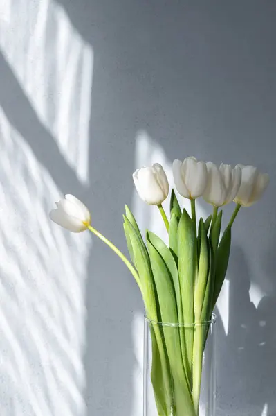 White tulip flowers bouquet on gray concrete wall background with natural sunlight shadow silhouette of window, aesthetic lifestyle floral backdrop.