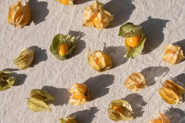 Physalis Fruits Neutral Beige Linen Tablecloth Background Natural Sun Light — Stock Photo, Image