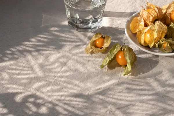 Aesthetic sustainable summer still life with physalis berry and glass with water on beige linen textured table cloth background with floral tropical sunlight shadow pattern, copy space.