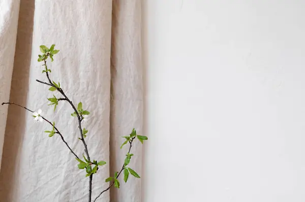 空白の壁 中立ベージュのリネンのカーテンおよび緑の木の枝が付いている審美的な自然な背景 コピースペースが付いている持続可能な花の背景 — ストック写真