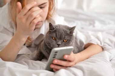 Genç kız ve gri kedi cep telefonu ekranına bakıyorlar. Yatakta yan yana yatıyorlar. Gençler evcil hayvan ve sosyal medyayla vakit geçiriyorlar..