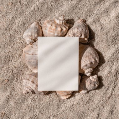 Deniz kabukları üst üste dizilmiş ve kumsal kum dokusu arka planı, tropikal yaz tatili ve ticari markalaşma veya sosyal medya blogları için seyahat tasarım şablonu üzerinde boş kağıt kart modeli.