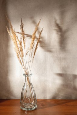 Kahverengi ahşap masada vazoda kurumuş çayır otu bej duvar arkasında yumuşak doğal güneş ışığı gölgeleri, yumuşak seçici odak, boho tarzında estetik ev dekorasyonu..