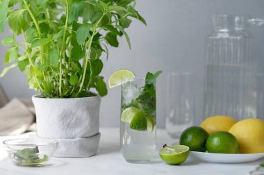 Buzlu mojito kokteyli, limon, misket masasında nane şekeri, gri duvar arkası, yumuşak seçici odak, doğal güneş ışığı..
