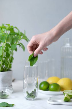 Evde mojito kokteyli yapmak, bardağa nane yaprağı koymak, bulanık limon, limon, arka planda nane şekeri, ferahlatıcı içecek yapmak için malzemeler..