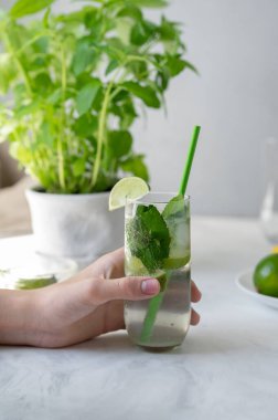 Yaz içkisi ferahlatıcı, elinde buzlu mojito alkolü kokteyli mermer masada ve yeşil bitki ve yumuşak doğal güneş ışığıyla nötr gri arka plan.