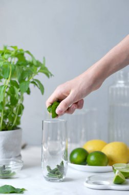 Ev yapımı mojito kokteyli yapma süreci, nane yaprağını cama yerleştirme, yeşil limon ve sarı limonlar, yeşil arka planda masada nane şekeri, yumuşak doğal ışık..