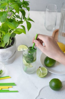 Kamış içmek, bardağa mojito kokteyli, taze yeşil limon ve mutfak masasının arka planında nane şekeri koymak, yaz tatili ferahlatıcı içecek, yaşam tarzı..