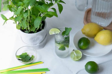 Masada mojito kokteyli, limon, limon, pipet ve nane şekeri içmek, üst manzara, otantik yaşam tarzı.