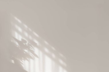 Nötr açık gri bej alçı duvar zemininde cam siluetinin minimalist güneş ışığı gölgesi silueti, iş dünyası için zarif bir arka plan, sessiz lüks tarzı..