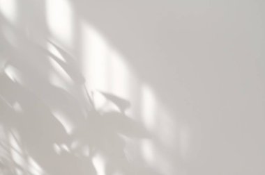 Alçı duvar dokusunda güzel, yumuşak güneş ışığı gölgeleri, minimum doğal arka plan..