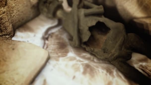 Αιγυπτιακή Μούμια Ξαπλωμένη Ανάμεσα Αρχαία Ερείπια — Αρχείο Βίντεο