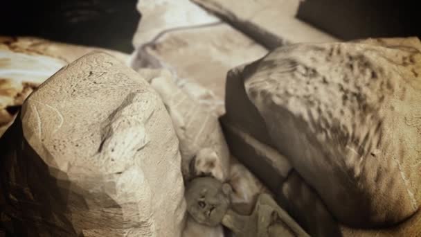 Mummy Discovery Ancient Ruins Egypt — Stock Video
