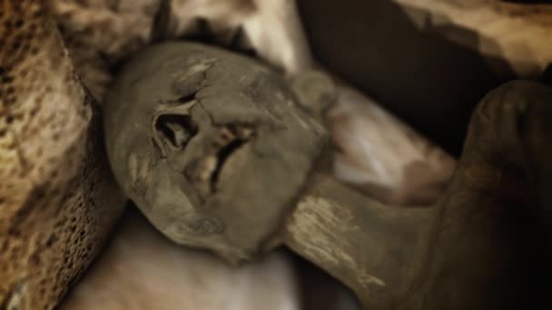 Mummy Lay Ancient Ruins Egypt — Stock Video