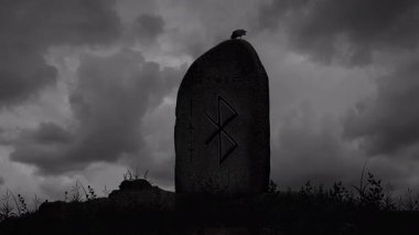 Soğuk Kışın Harald Bluetooth Runik Taşında Kara Karga Duruşu