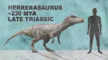 Dinozorların Evrimi, Watercolor Boyamada Zaman Çizelgesi - Dinozor Erkek Boyutuna Karşı