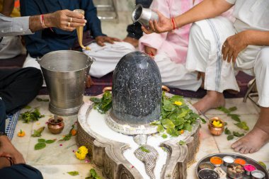 Shiva Lingam 'ın üzerine süt dökme ayini.