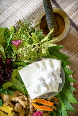 ayurvedic Hint tıp spa 'sı