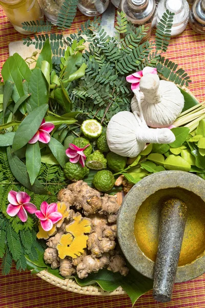 Indian Ayurvedic Medicine Herbal Massage Stock Picture
