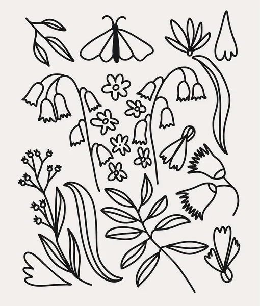 Collection Dessinée Main Éléments Décoration Florale — Image vectorielle