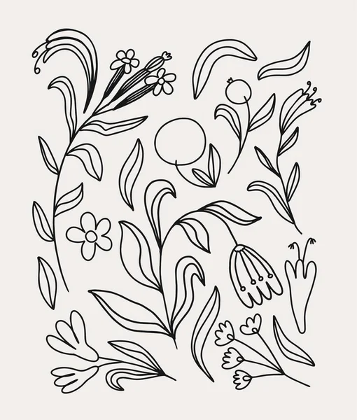 Coleção Desenhada Mão Elementos Decoração Floral —  Vetores de Stock