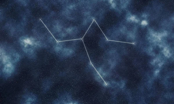 Camelopardalis Csillag Csillagkép Éjszakai Égbolt Csillagkép Vonalak Zsiráf — Stock Fotó
