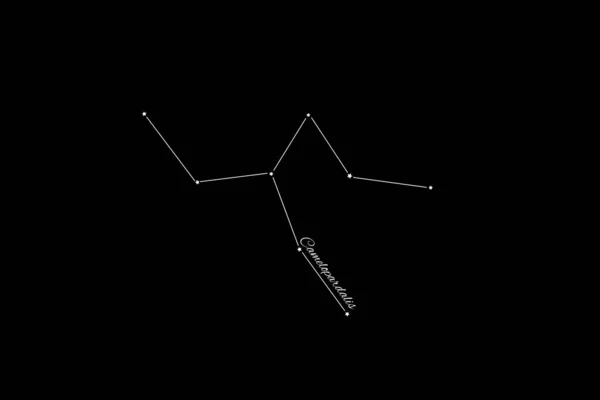Camelopardalis Constellation Cluster Stars Giraffe Constellation — Stock Photo, Image
