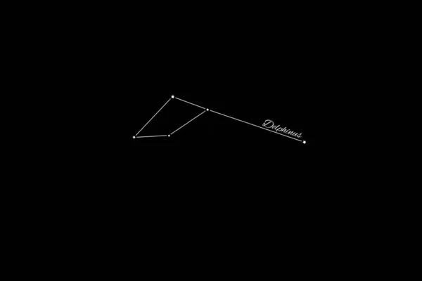 Delphinus Takımyıldızı Yıldız Kümesi Yunus Takımyıldızı — Stok fotoğraf