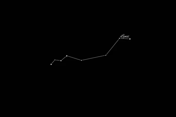 Constelação Lynx Aglomerado Estrelas Constelação Gatos — Fotografia de Stock