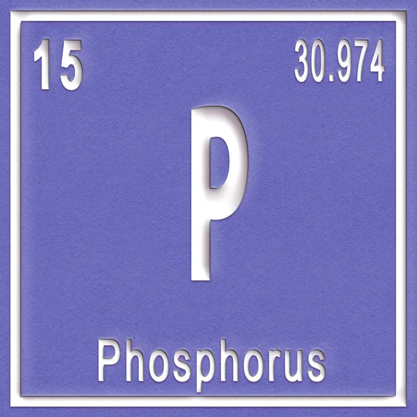 Химический Элемент Фосфора Знак Атомным Номером Атомной Массой Элемент Периодической — стоковое фото