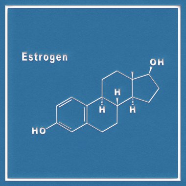 Beyaz zemin üzerinde östrojen hormonu yapısal kimyasal formülü