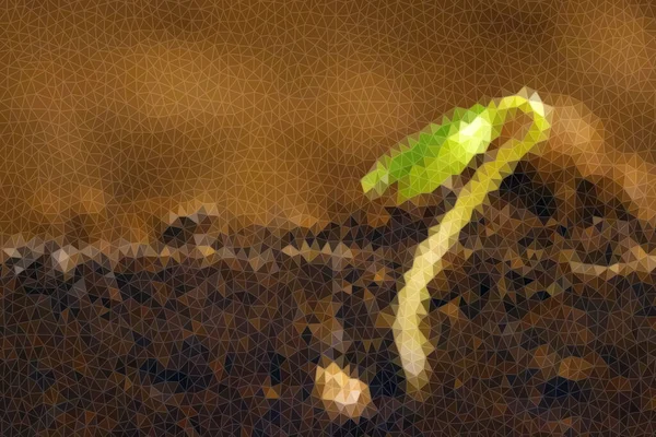 Planta Crescimento Poligonal Broto Verde Que Cresce Partir Sementes — Fotografia de Stock