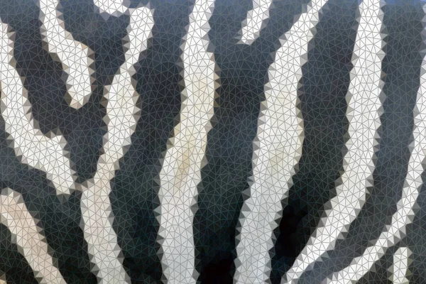 多角形斑马皮 斑马图案 黑白条纹 — 图库照片