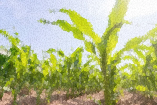 Polygonaler Grüner Mais Der Auf Dem Feld Wächst Polygonale Maispflanzen — Stockfoto