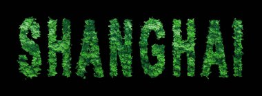 Şangay yazıtları, Şangay Ormanı Ekolojisi Siyahi Konsepti, Kırpma Yolu