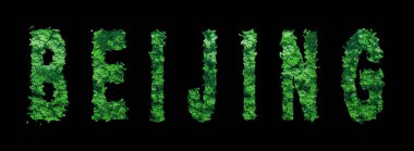 Pekin harfleri, Pekin Ormanı Ekolojisi Siyah, Kırpma Yolu Konsepti