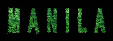 Manila harfleri, Manila Ormanı Ekolojisi Siyah, Kırpma Yolu Konsepti