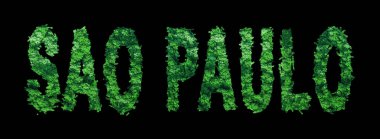 Sao Paulo harfleri, Sao Paulo Ormanı Ekolojisi Siyah, Kırpma Yolu Konsepti